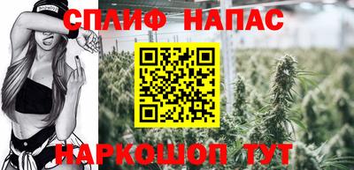 трава Кандалакша