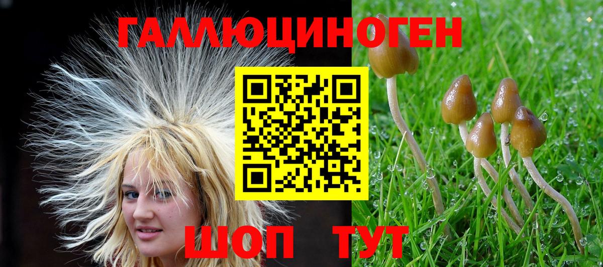 Галлюциногенные грибы прущие грибы Юрга