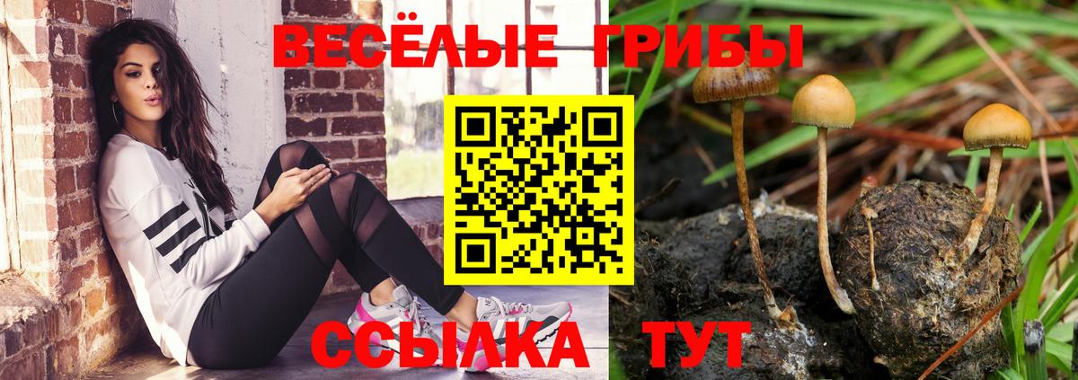 Галлюциногенные грибы мицелий  Вход с VPN  Юрга 